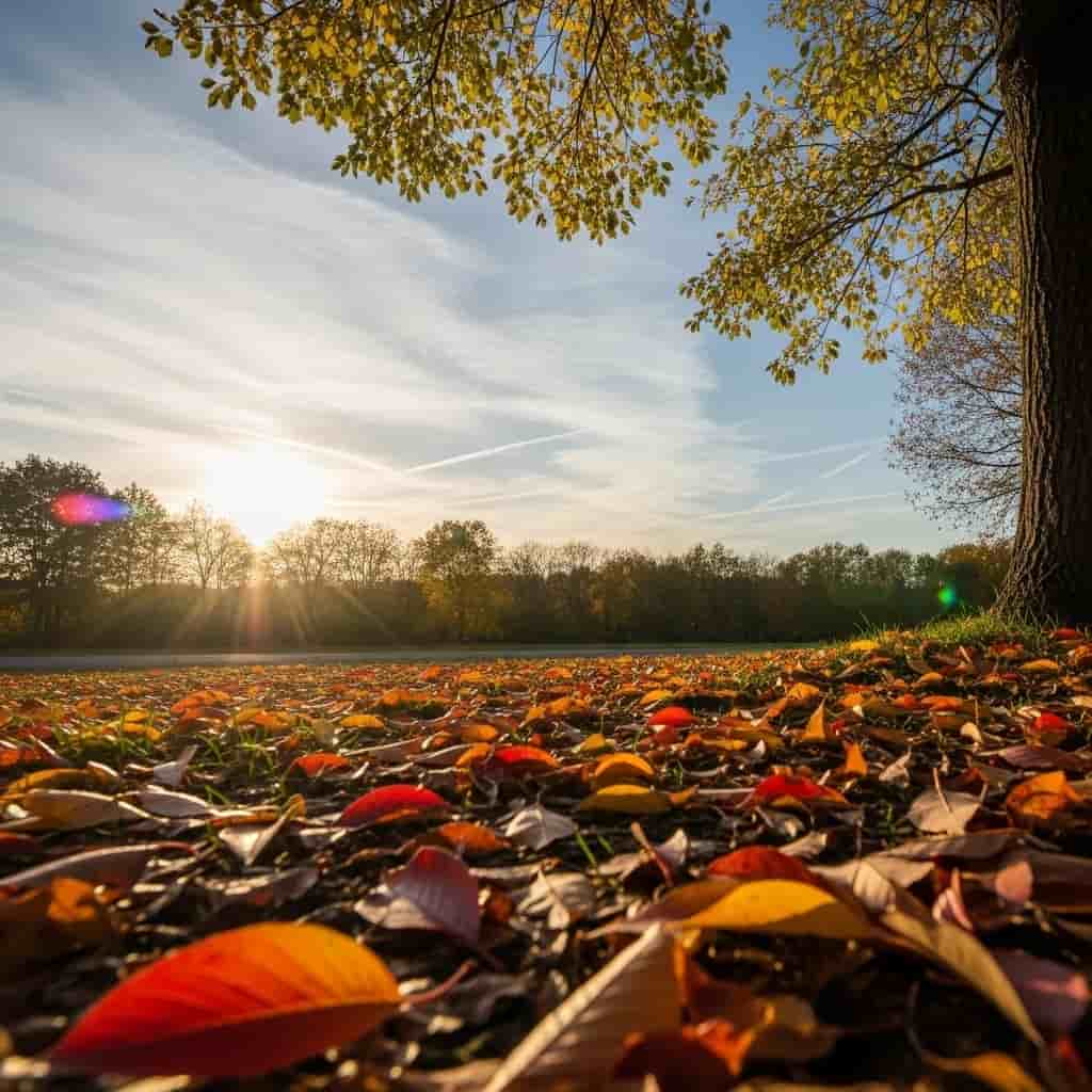 Pierwszy dzień jesieni 2025 - równonoc jesienna rozpoczyna nowy sezon astronomiczny